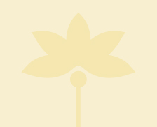 Cream lotus flower silhouette on a pale cream background