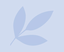 Blue leaf silhouette illustration on a pale blue background