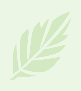 Green feather leaf silhouette on a pale green background