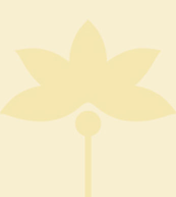 Cream lotus flower silhouette on a pale cream background