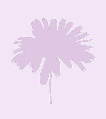 Mauve daisy flower silhouette on a pale mauve background